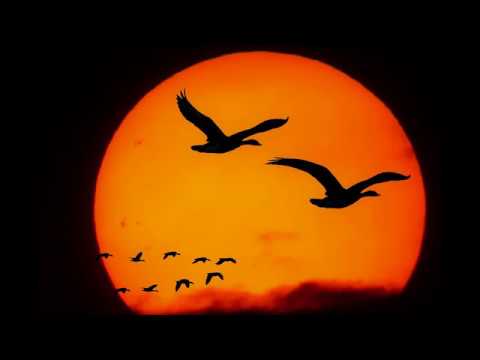 Vorschaubild: Granstein Echo - Flieg nicht zu nah zur Sonne